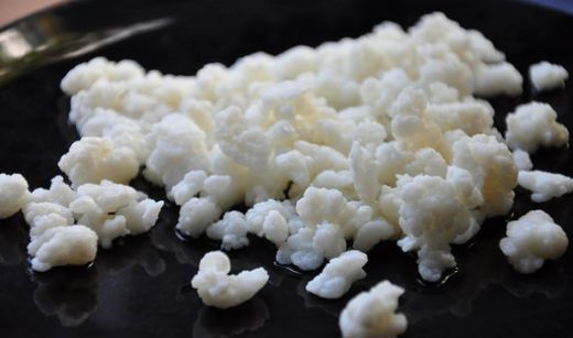 Kefir Yapmanın Püf Noktaları Nelerdir?